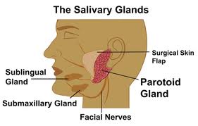 Sindrome di Frey. Iperidrosi viso